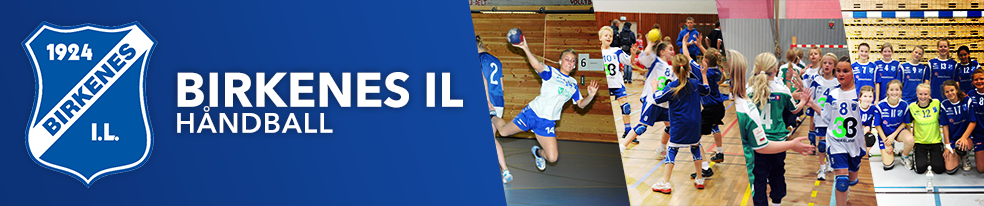 Birkenes IL - Håndball